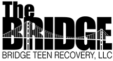 The Bridge Teen Recovery